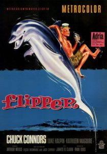 Flipper