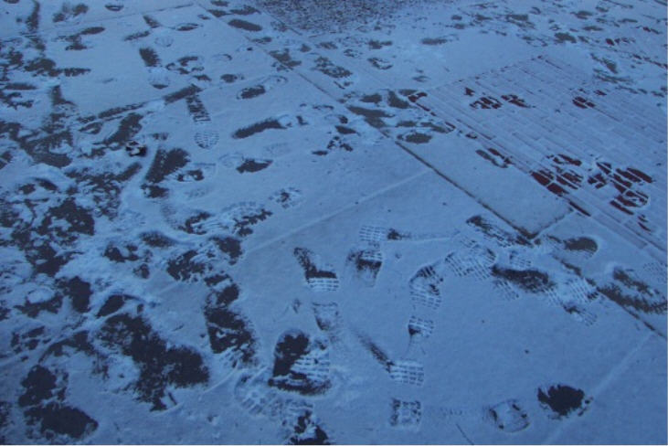 Footprints in the snow