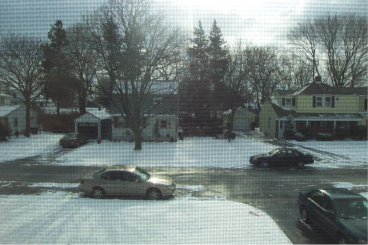 A view of the neighborhood from my bedroom window