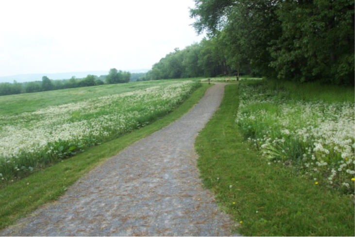Tom Tudek Memorial Park