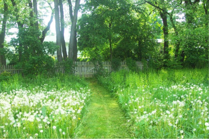Tom Tudek Memorial Park