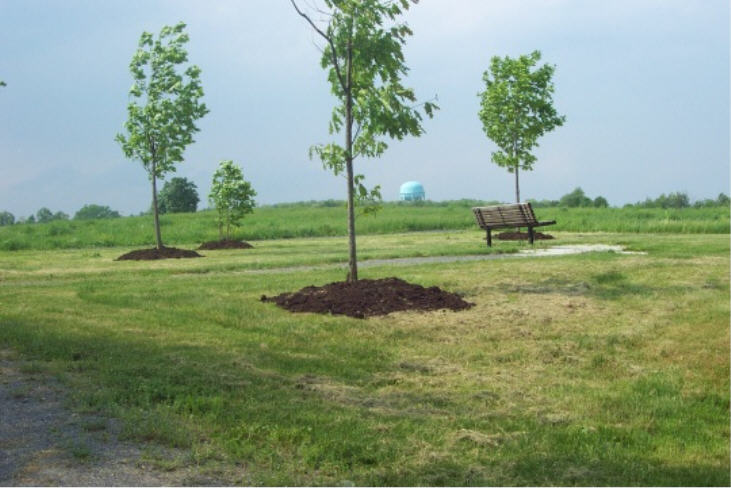 Tom Tudek Memorial Park