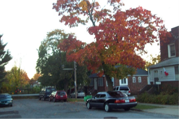 My own street is just a jump to the left.