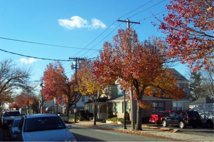 More fall colors